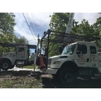 Action Tree Service Logo