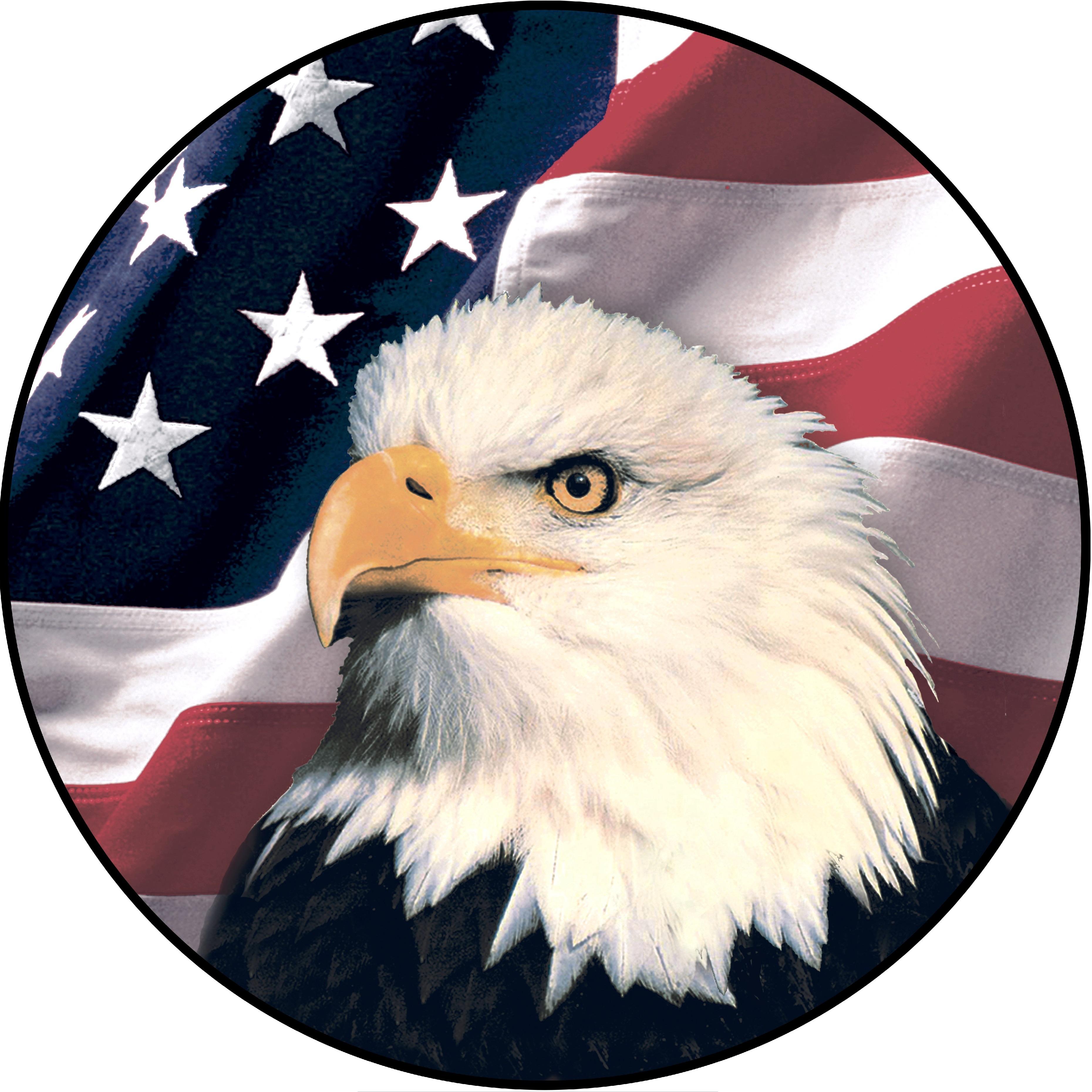 American Eagle Tree Service Logo