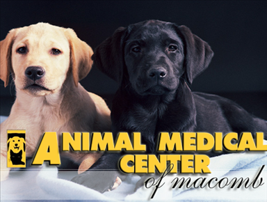 Animal Medical Center