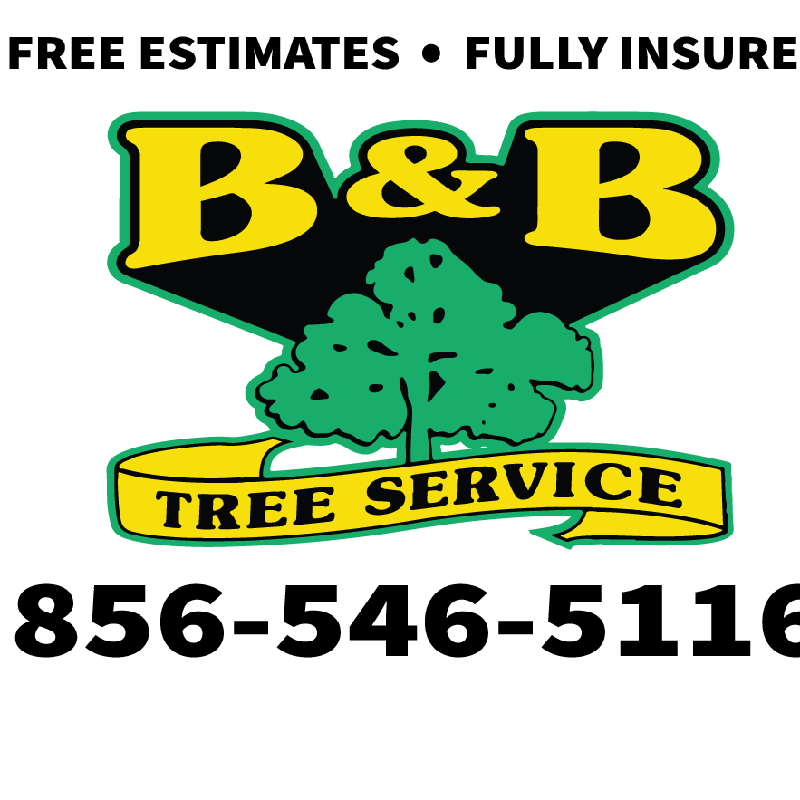 B & B Tree Service Logo