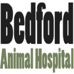 Bedford Animal Hospital Logo