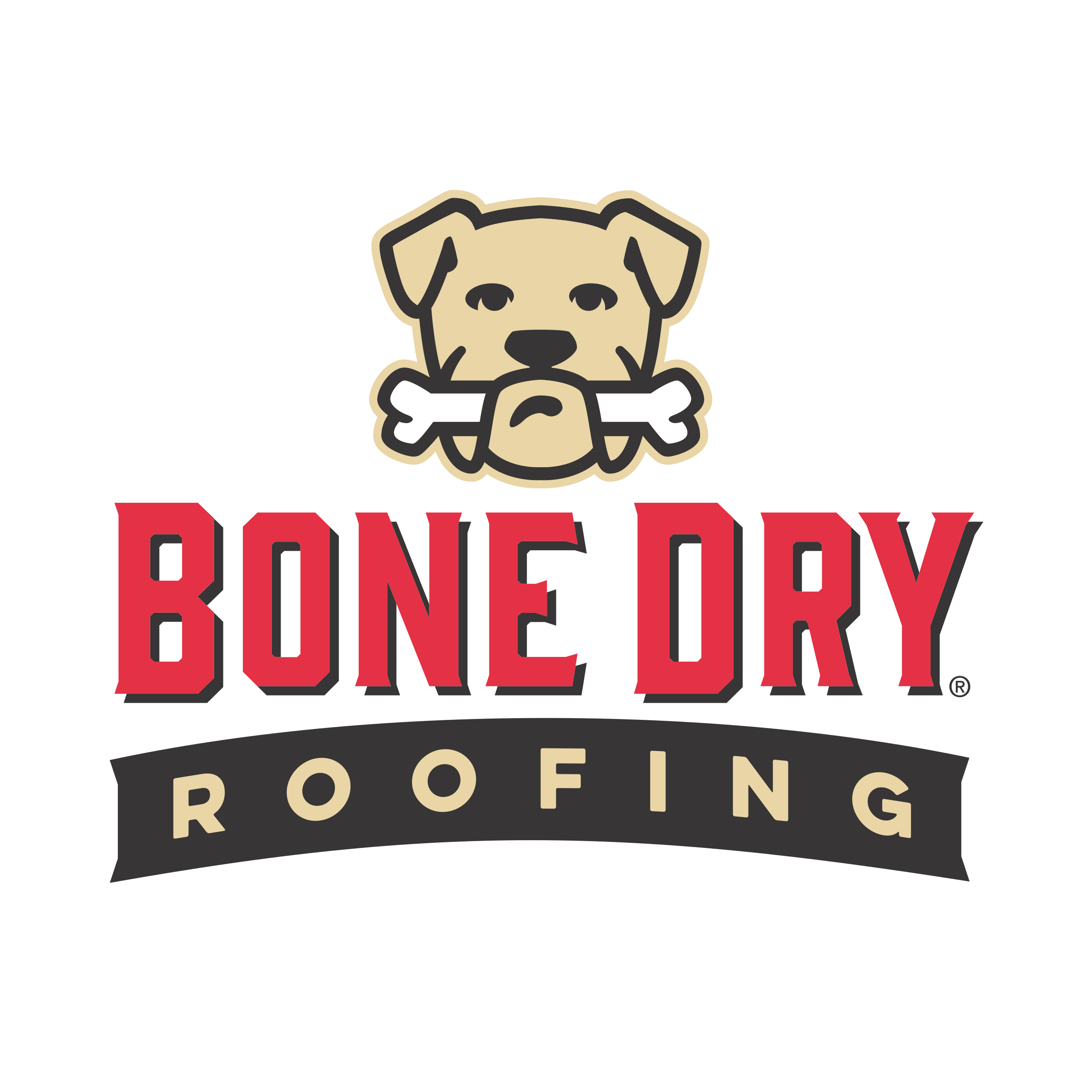 Bone Dry Roofing Logo