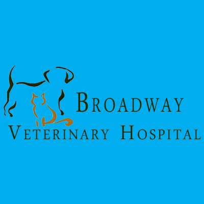 Broadway Veterinary Hospital Logo