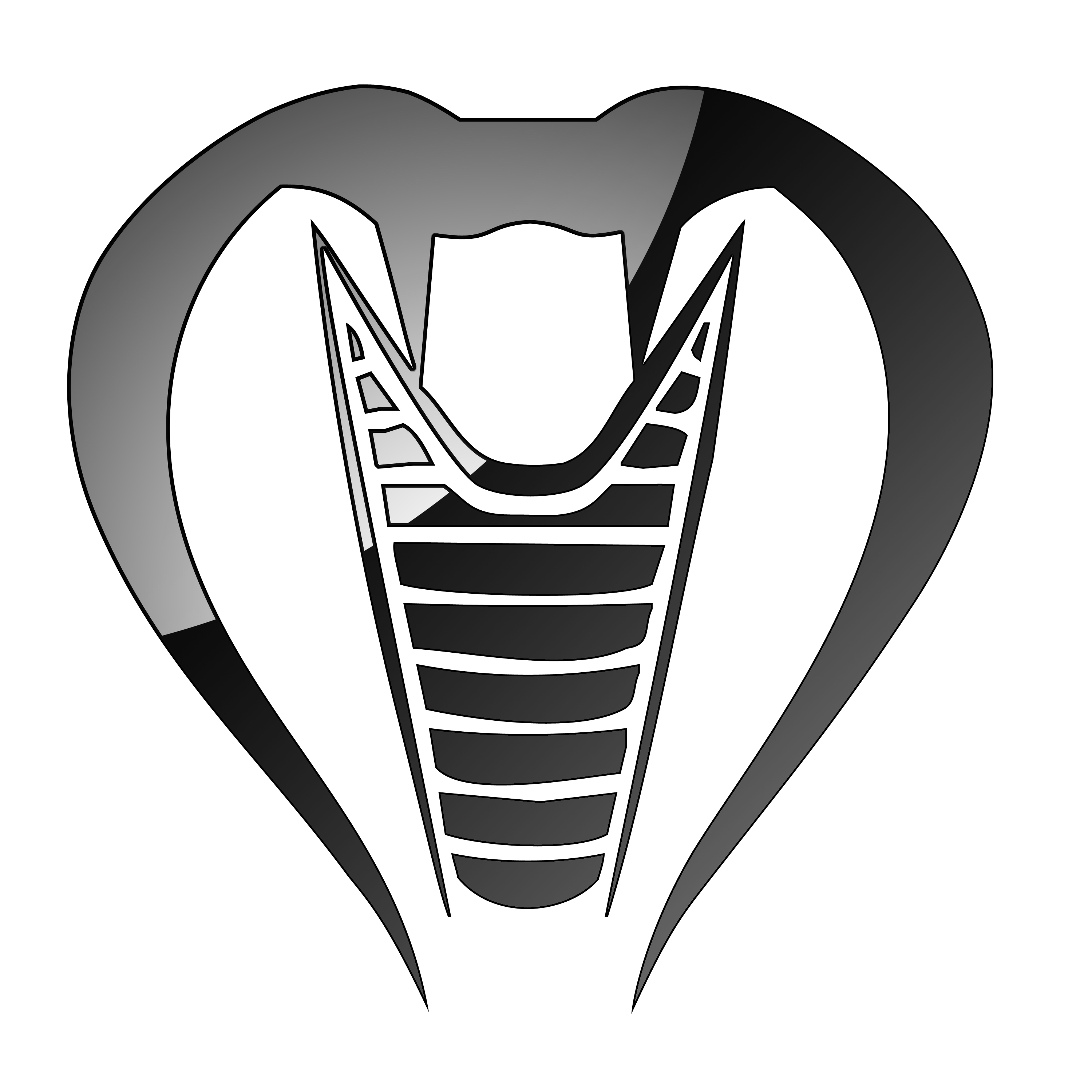Cobra Transmission Parts Logo
