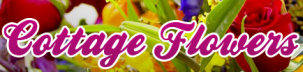 Cottage Flowers Inc Logo