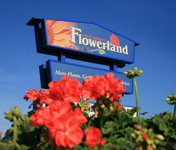 Flowerland Logo