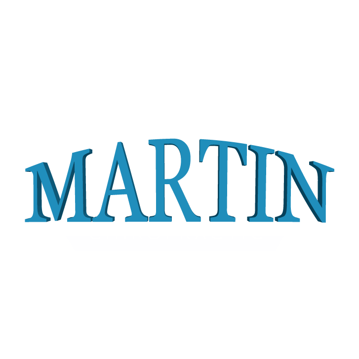 Martin Chiropractic Logo