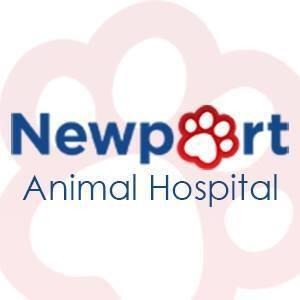 Newport Animal Hospital Logo