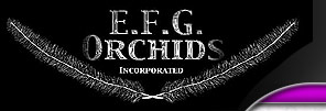 Power Plant EFG Orchids Logo