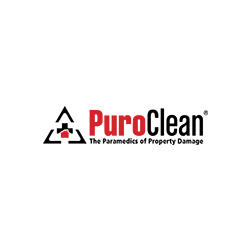 PuroClean Disaster Services Logo