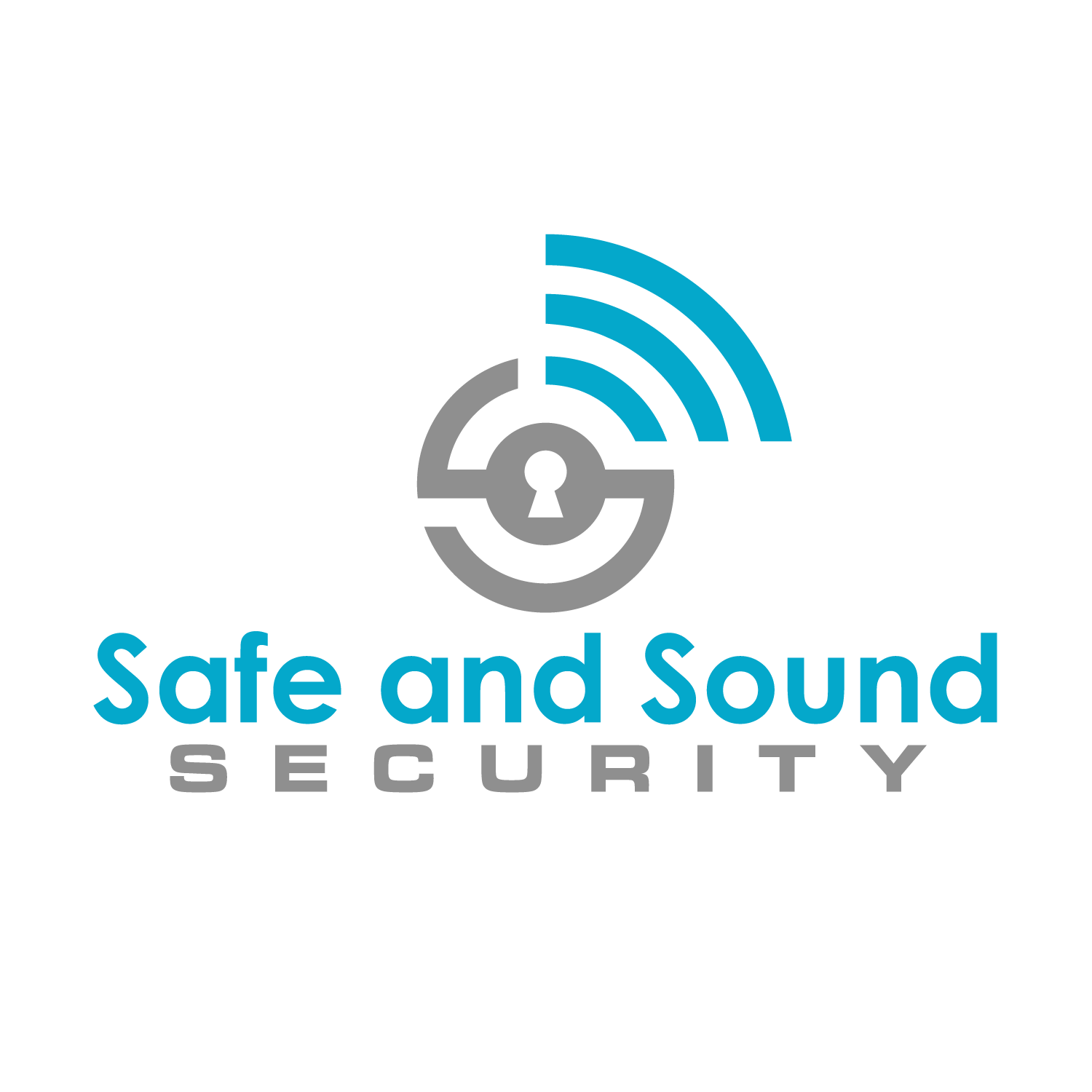 Safe and Sound Security Logo