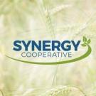 Synergy Cooperative Logo