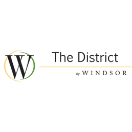 The District Logo