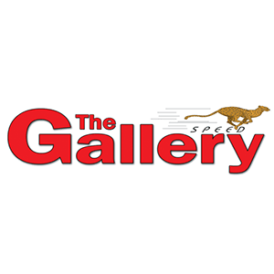 The Gallery Logo