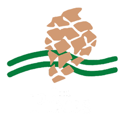 The Pines Logo