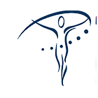 Total Physical Therapy Logo